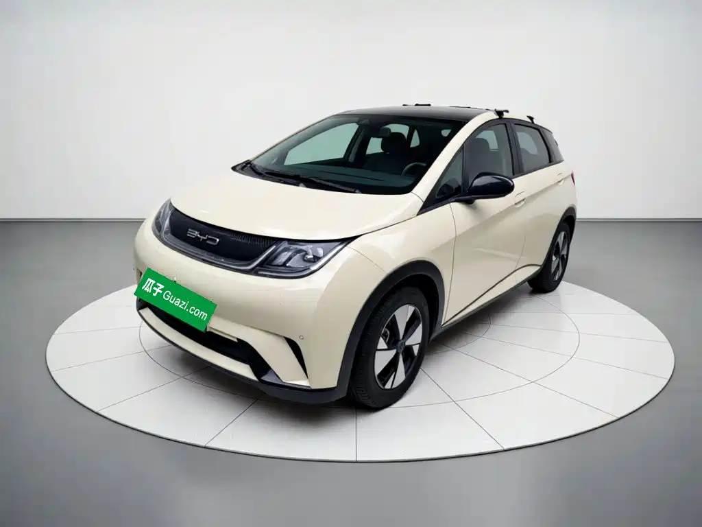Dolphin 2023 420km Fashion Edition купить на сайте DeffCars