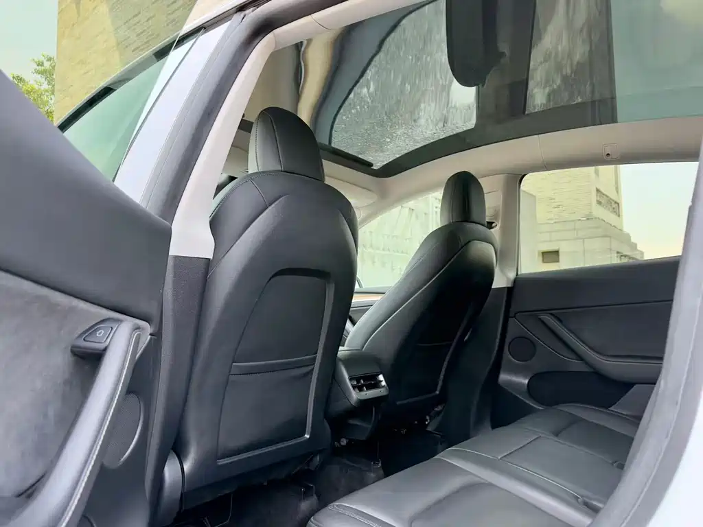 Model Y 2021 standard range rear-wheel drive version купить на сайте DeffCars