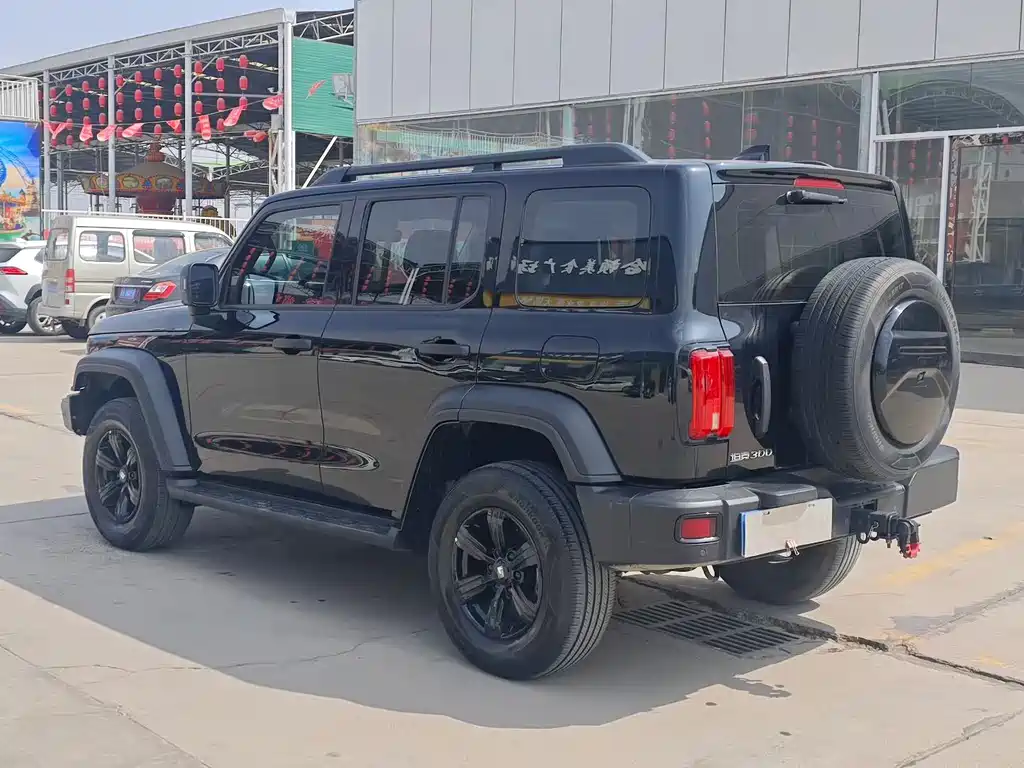 Tank 300 2023 Off-Road Version 2.0T Conqueror купить на сайте DeffCars