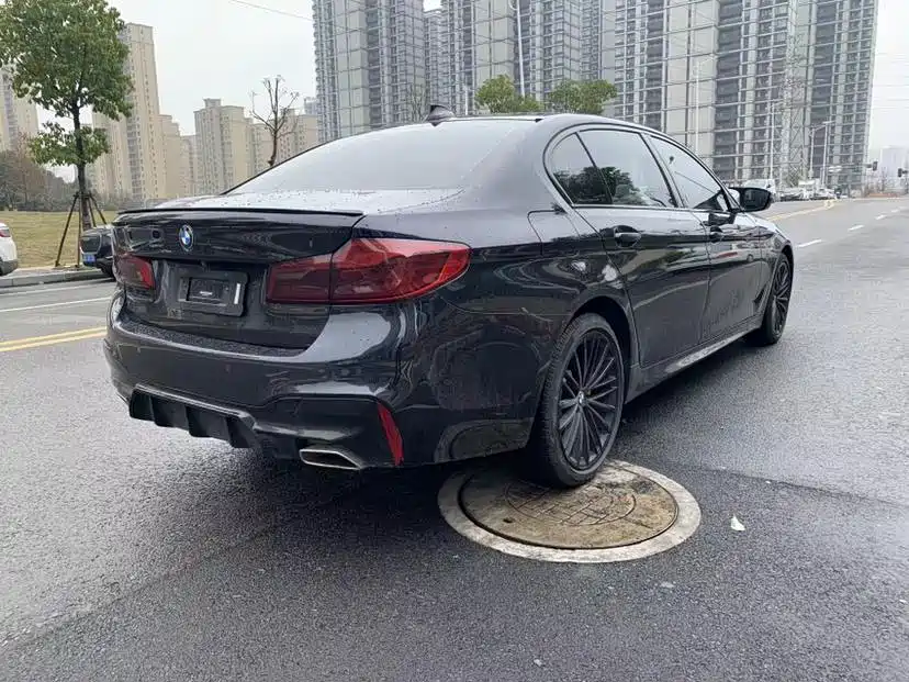 BMW 5 Series 2020 530Li Leading M Sports Package купить на сайте DeffCars