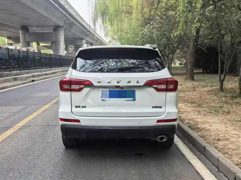 Haval M6 2019 1.5T manual two-wheel drive elite model National V купить на сайте DeffCars