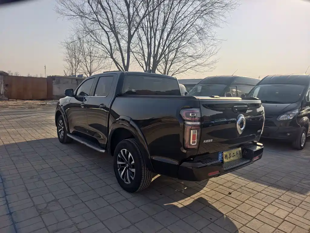 Cannon 2023 2.0T passenger version automatic gasoline four-wheel drive comfort model GW4C20B купить на сайте DeffCars