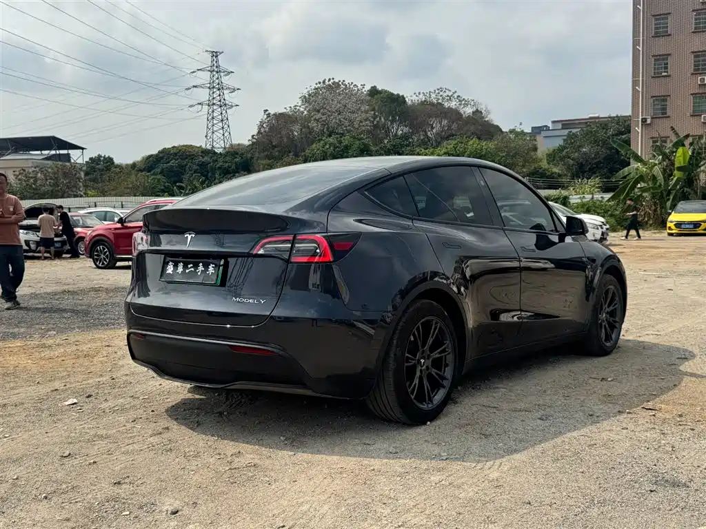 Model Y 2024 rear-wheel drive version купить на сайте DeffCars