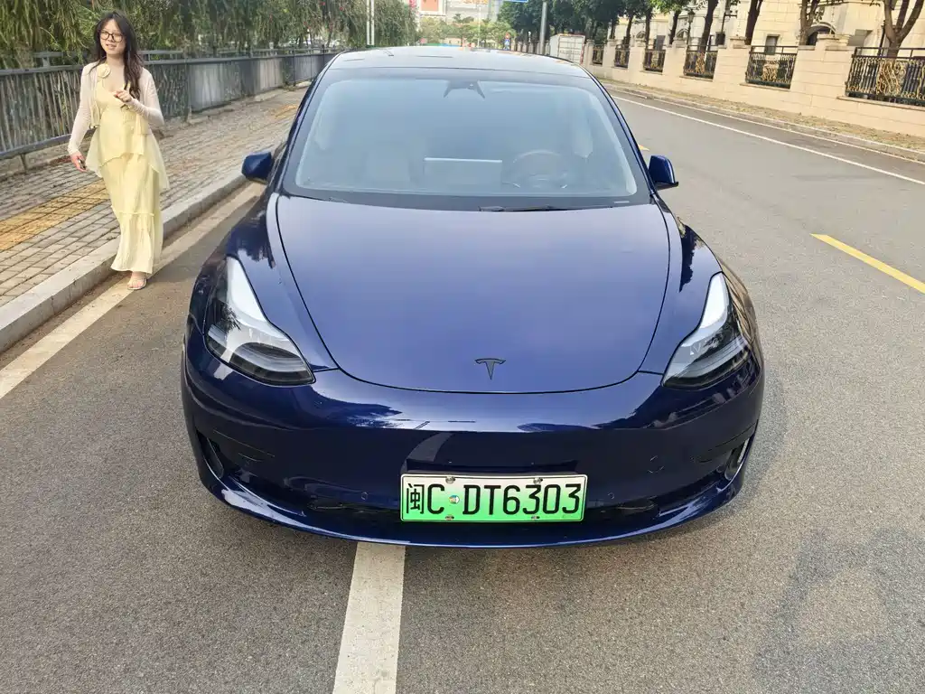 Model 3 2022 rear-wheel drive version купить на сайте DeffCars
