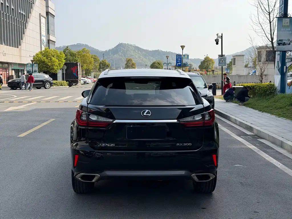 Lexus RX 2016 300 four-wheel drive elegant version National V купить на сайте DeffCars