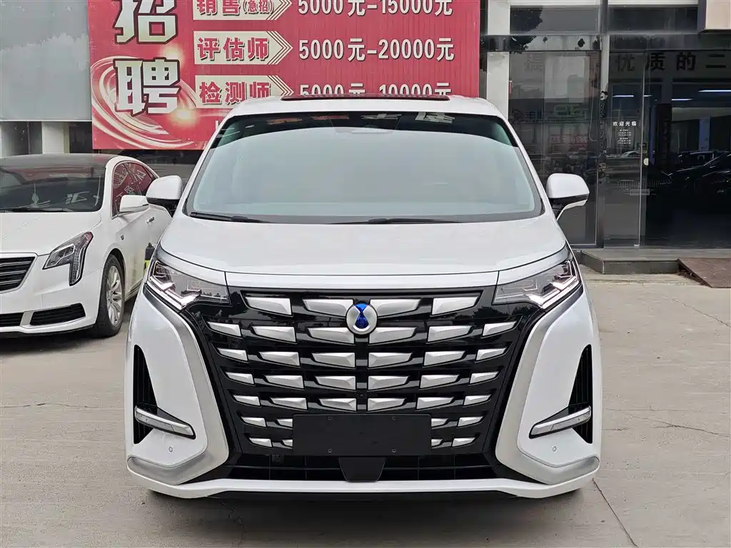 Denza D9 2022 DM-i 1040 Premium Type купить на сайте DeffCars