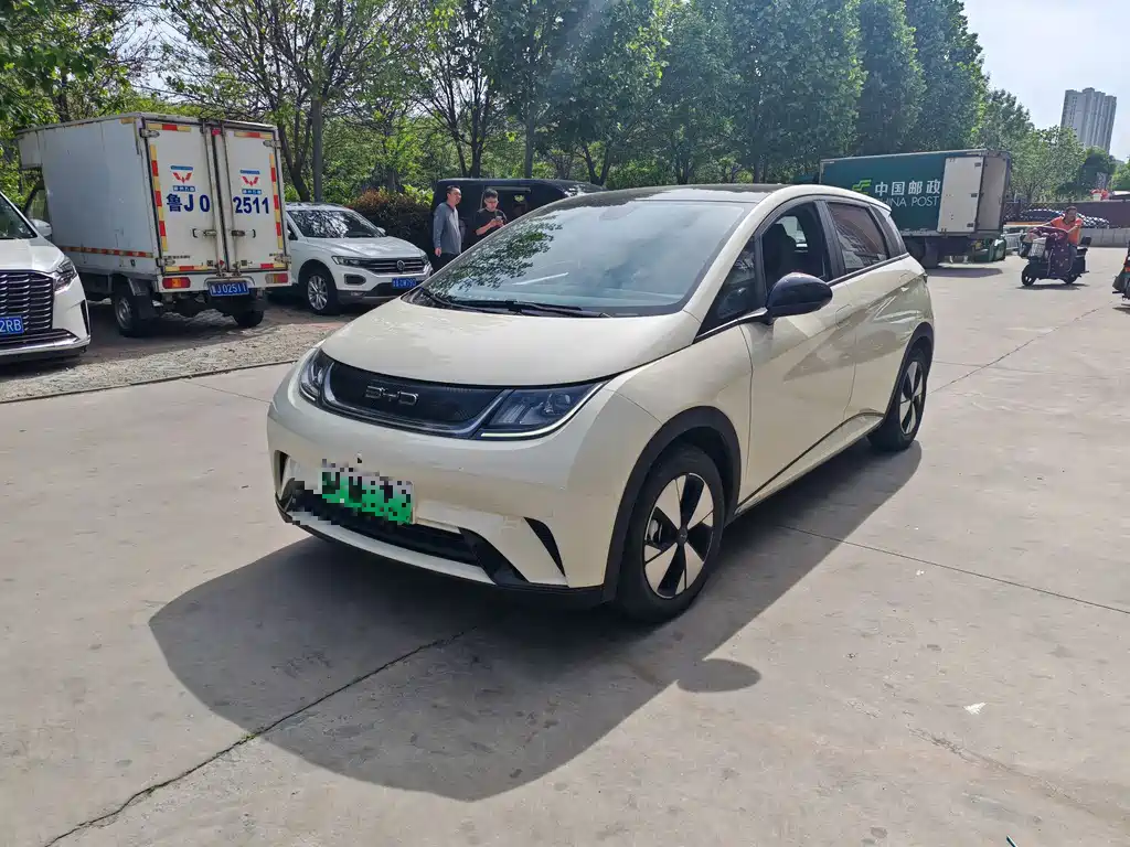Dolphin 2023 420km Free Edition купить на сайте DeffCars