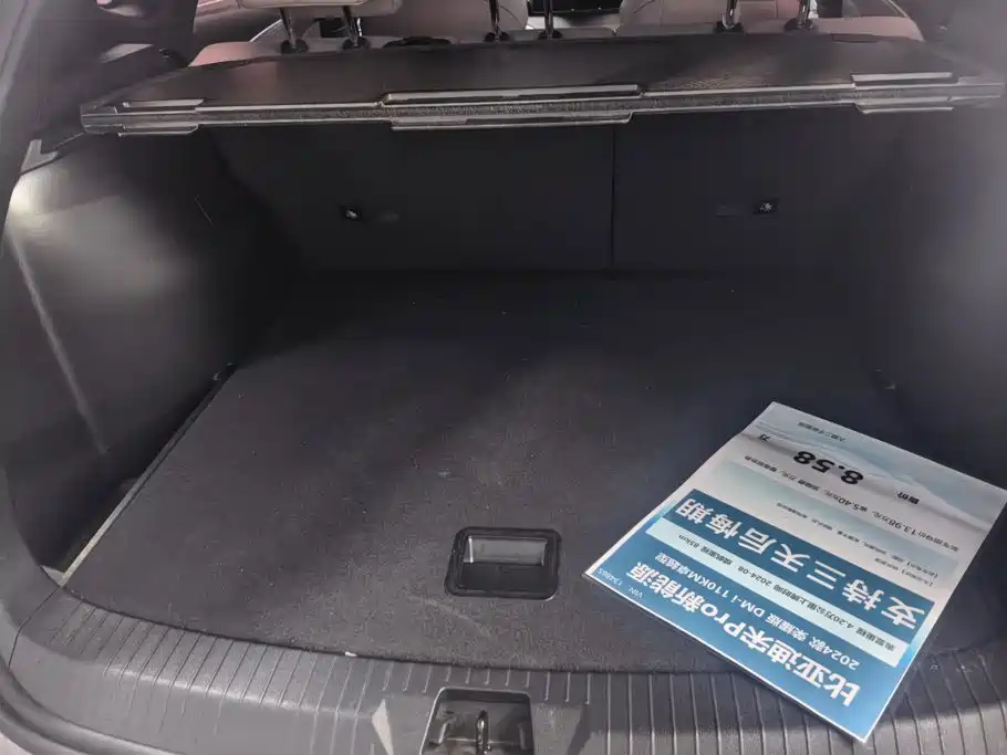Song Pro New Energy 2024 Honor Edition DM-i 110KM Excellent Type купить на сайте DeffCars