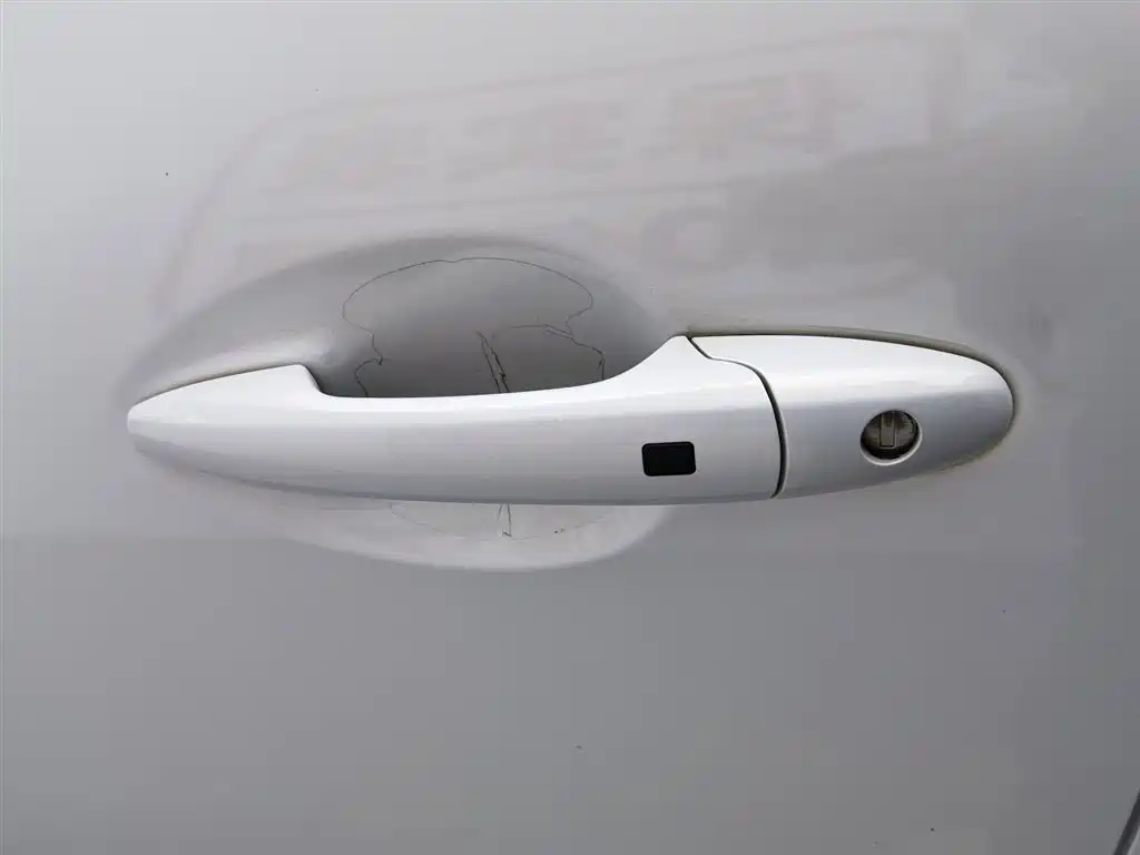 Cannon 2021 2.0T commercial version automatic diesel two-wheel drive elite long box GW4D20M купить на сайте DeffCars