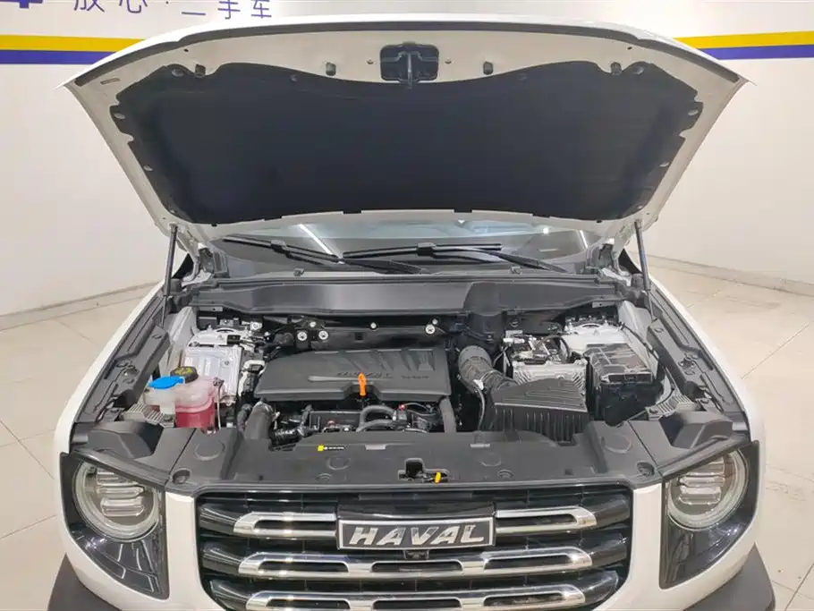 Haval Big Dog 2021 1.5T DCT two-wheel drive Border Collie-Wangcai Edition купить на сайте DeffCars