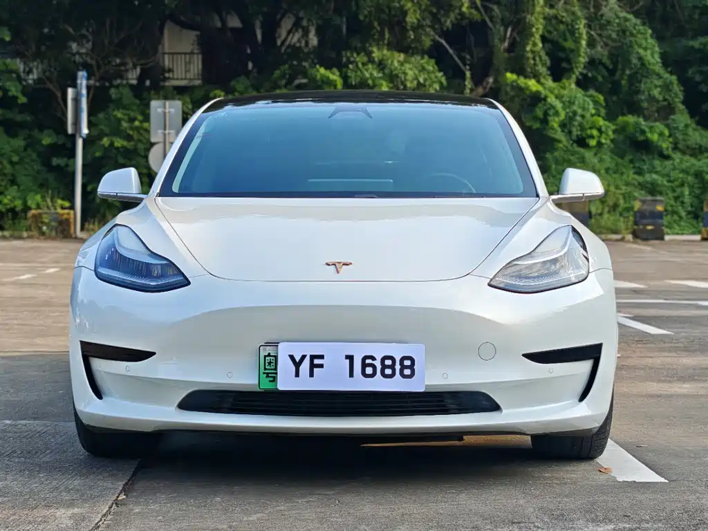 Model 3 2020 Standard Range Rear Drive Upgraded Version купить на сайте DeffCars