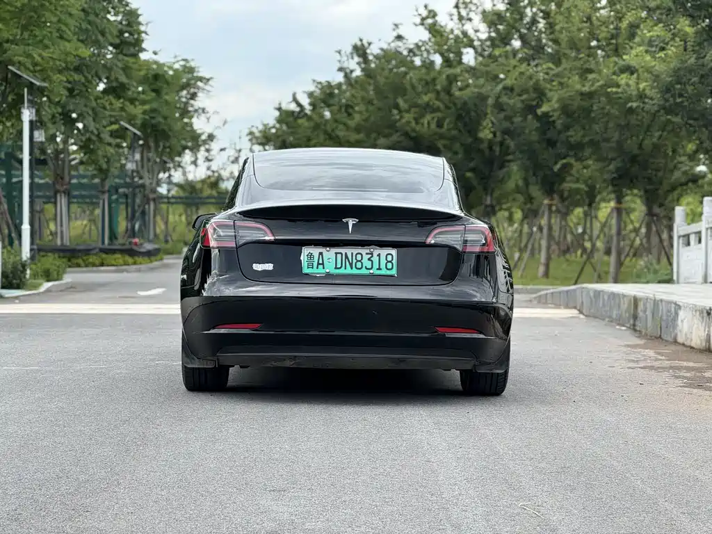 Model 3 2022 rear-wheel drive version купить на сайте DeffCars