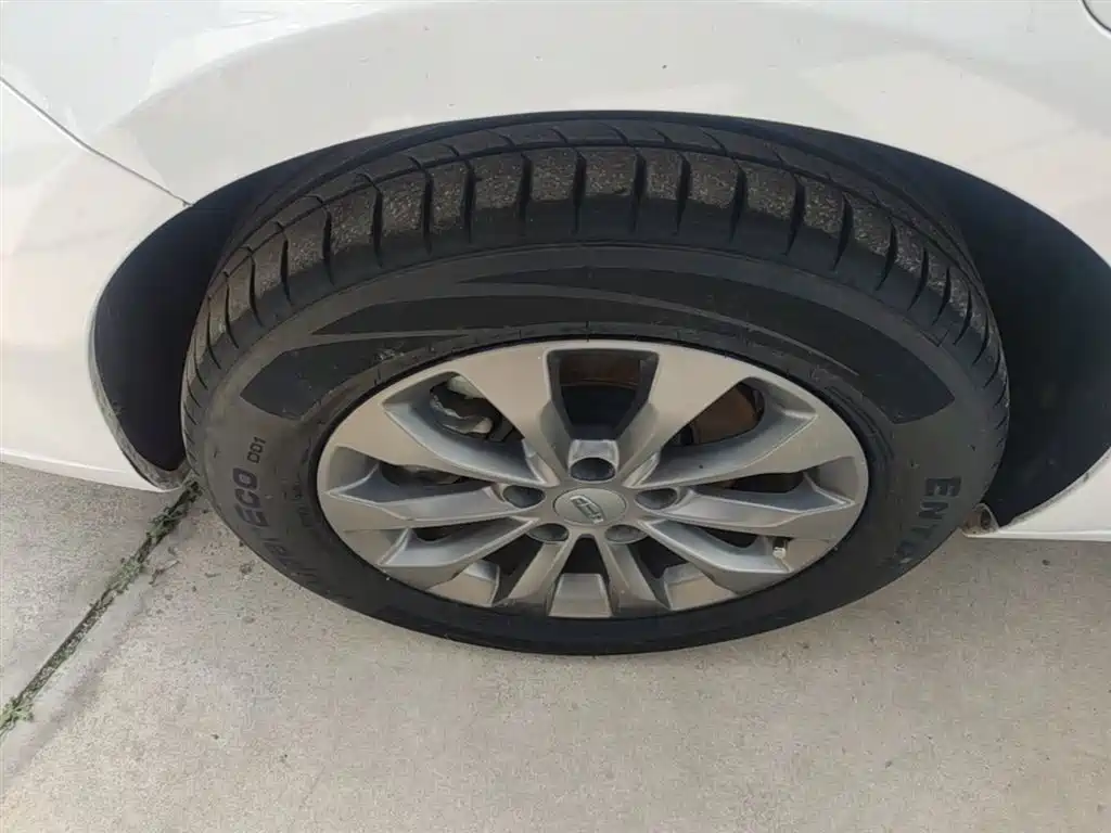 Emgrand New Energy 2021 EV Pro online reservation version купить на сайте DeffCars