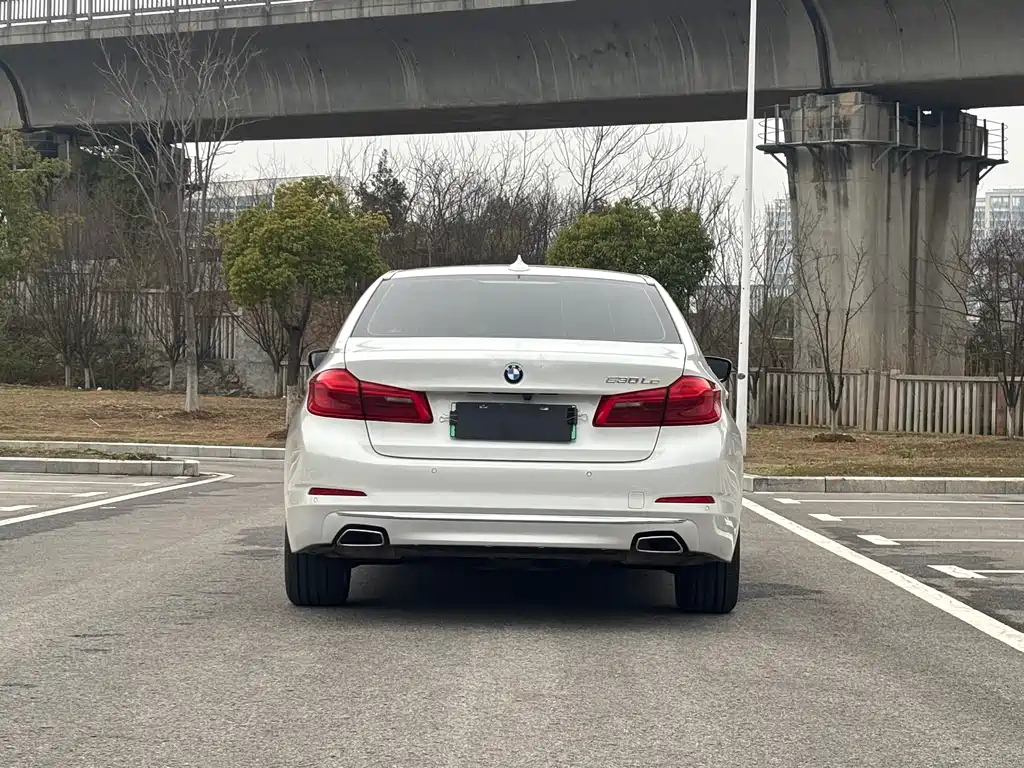 BMW 5 Series New Energy 2020 Mileage Upgraded Version 530Le Luxury Package купить на сайте DeffCars