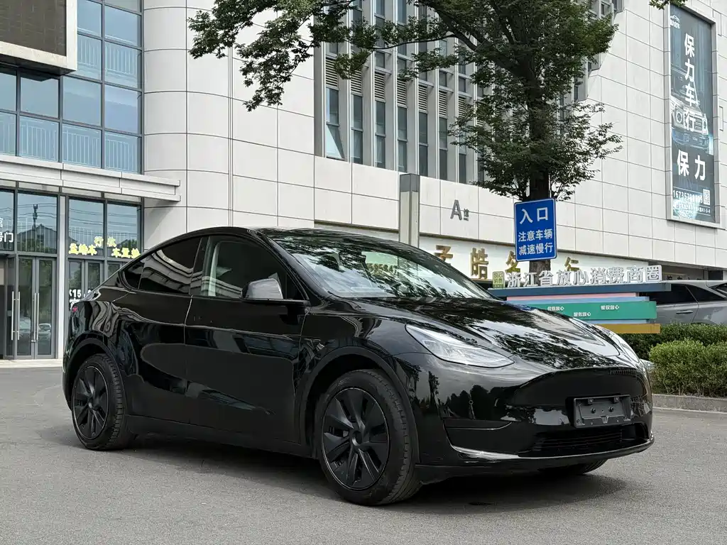 Model Y 2023 rear-wheel drive version купить на сайте DeffCars