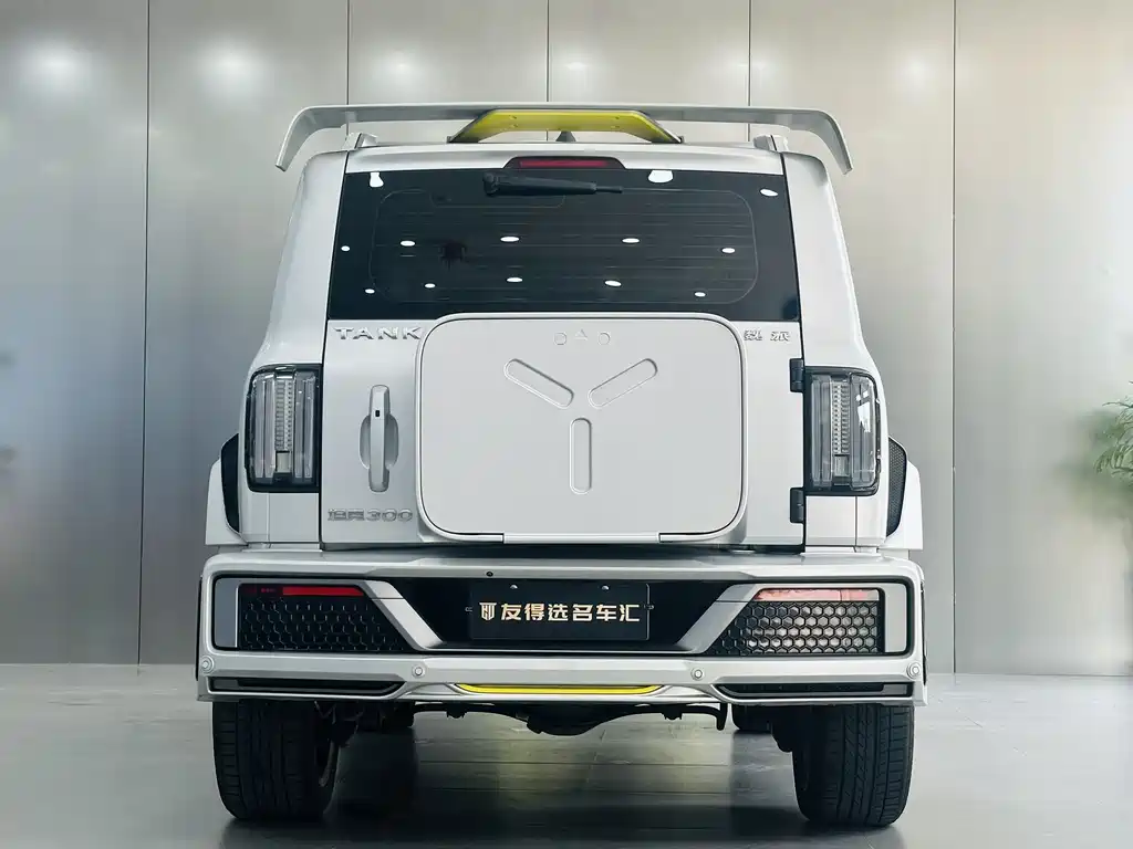 Co-create Tank 300 2021 2.0T Cyber ​​Tank купить на сайте DeffCars