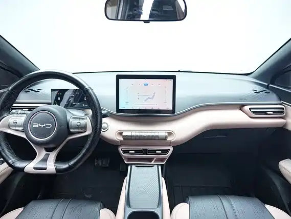 Seagull 2025 305km active version купить на сайте DeffCars