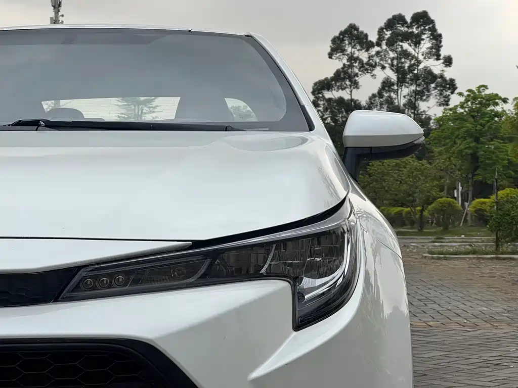 Ralink 2019 185T CVT Advanced Edition National V купить на сайте DeffCars