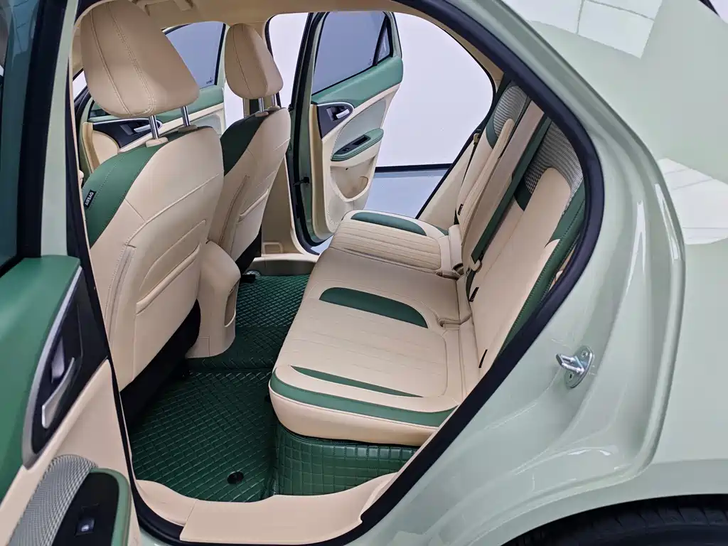 Euler Good Cat 2023 model 401km standard battery life luxury model lithium iron phosphate купить на сайте DeffCars