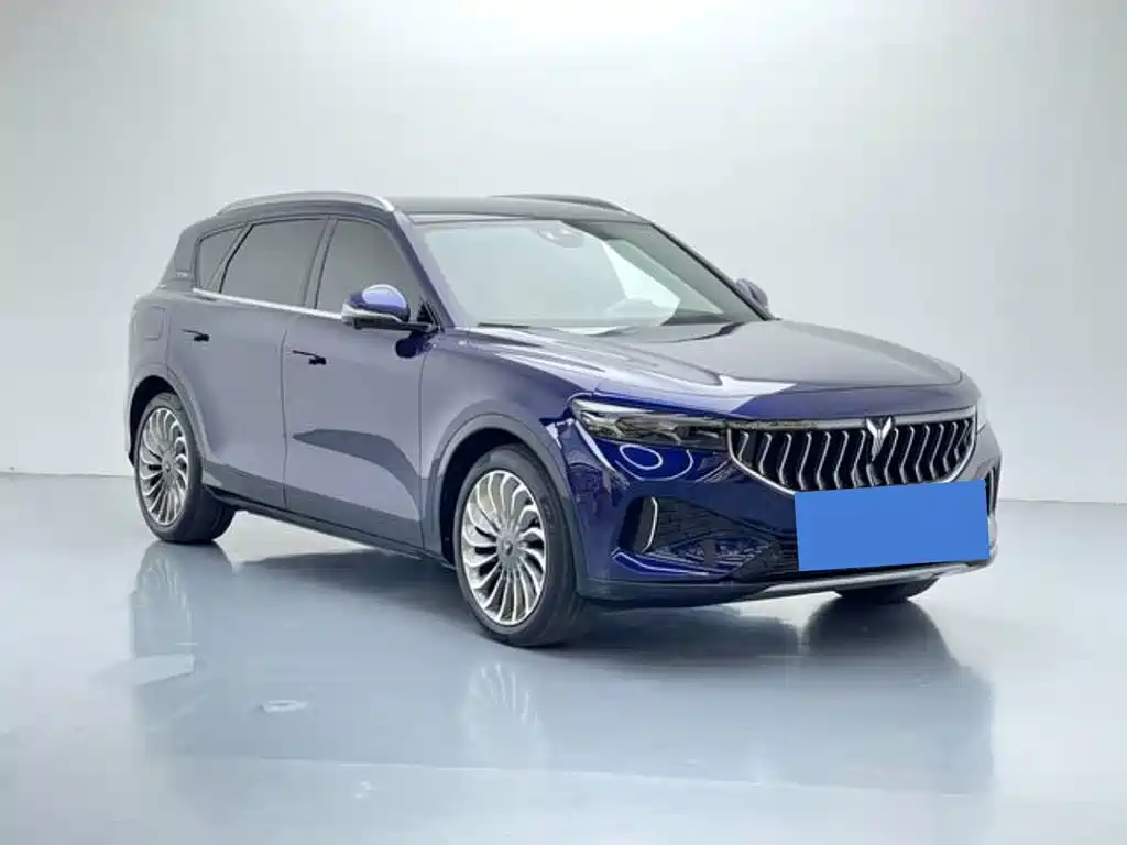Lantu FREE 2021 four-wheel drive standard extended range exclusive luxury package купить на сайте DeffCars