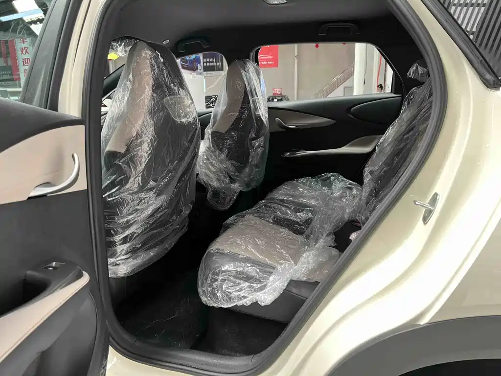 Dolphin 2025 420km Free Edition купить на сайте DeffCars