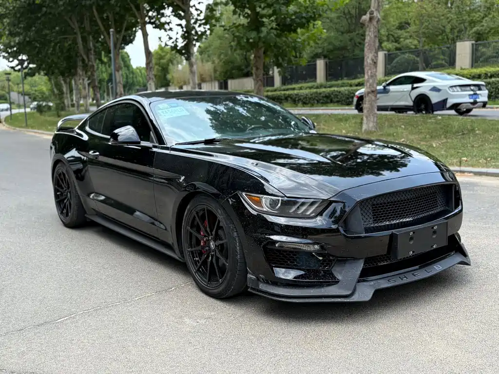 Mustang 2015 2.3T Performance Edition купить на сайте DeffCars