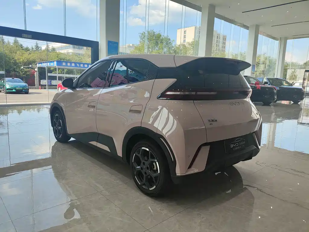 Seagull 2025 model 305km free version купить на сайте DeffCars