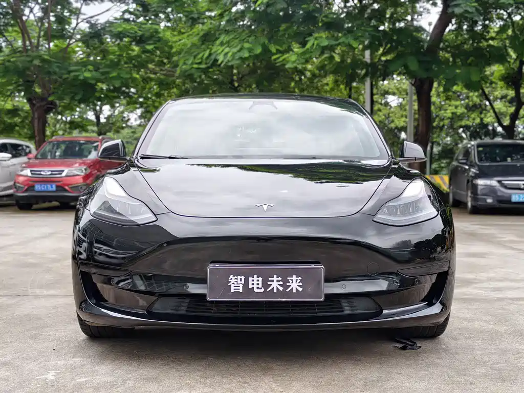 Model 3 2022 rear-wheel drive купить на сайте DeffCars