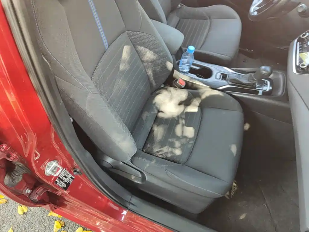 Ralink 2019 185T CVT Sports Edition National VI купить на сайте DeffCars