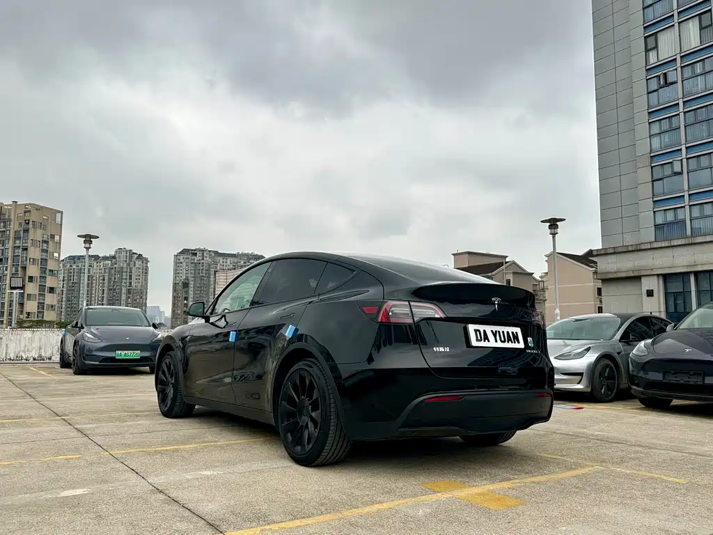 Model Y 2023 rear-wheel drive version купить на сайте DeffCars