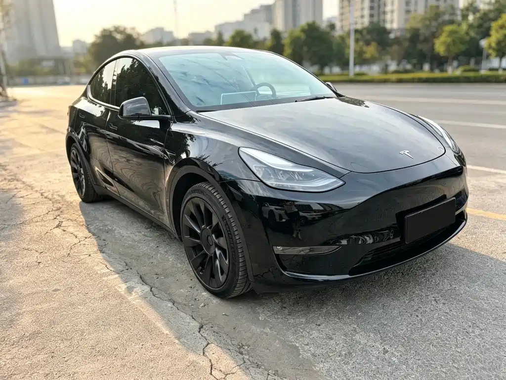 Model Y 2021 standard range rear-wheel drive version купить на сайте DeffCars