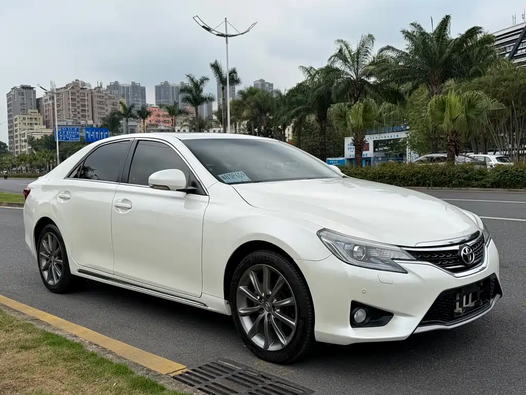 Ruizhi 2013 2.5V Shangrui version купить на сайте DeffCars