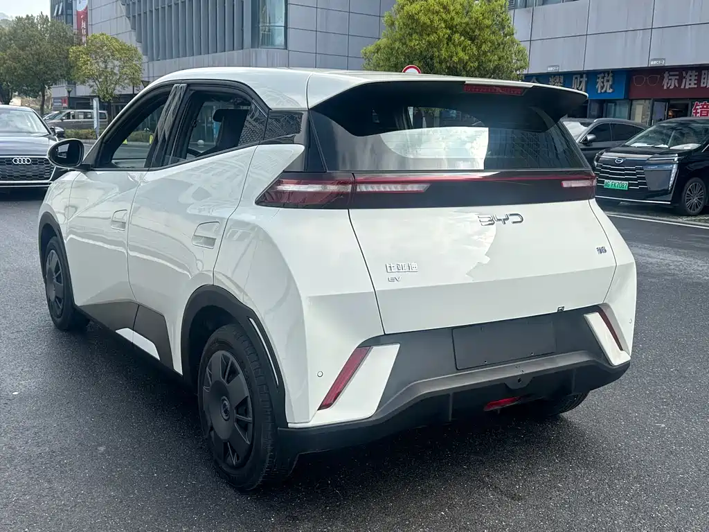 Seagull 2024 Honor Edition 305km Vitality Edition купить на сайте DeffCars