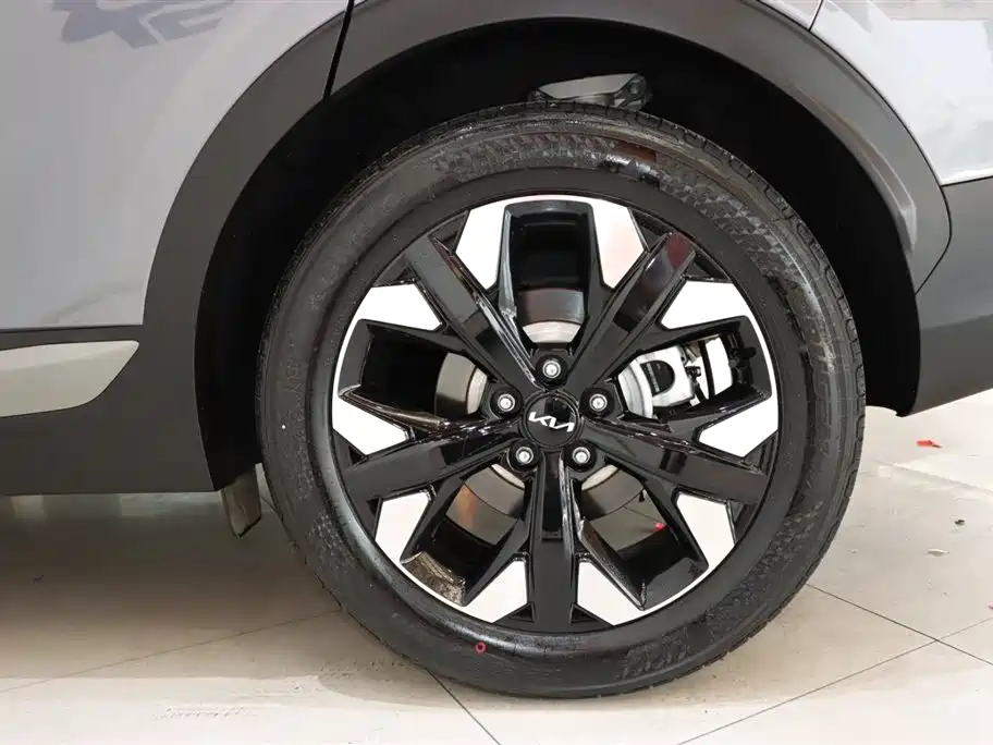 Lion Platinum Extension 2023 2.0T two-wheel drive premium version купить на сайте DeffCars