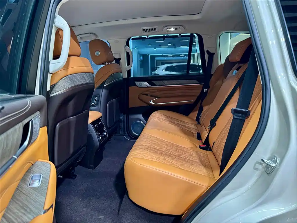 Tank 500 2023 model 3.0T business version environment type 5 seats купить на сайте DeffCars