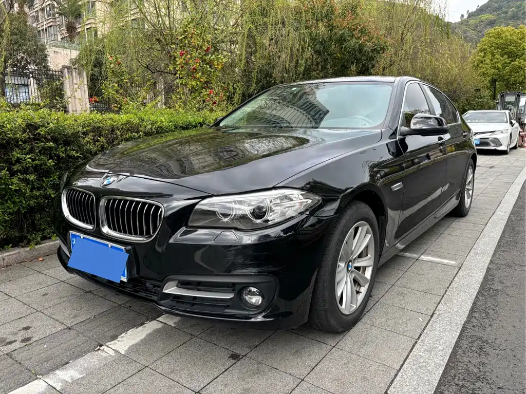BMW 5 Series 2014 520Li Elegant купить на сайте DeffCars