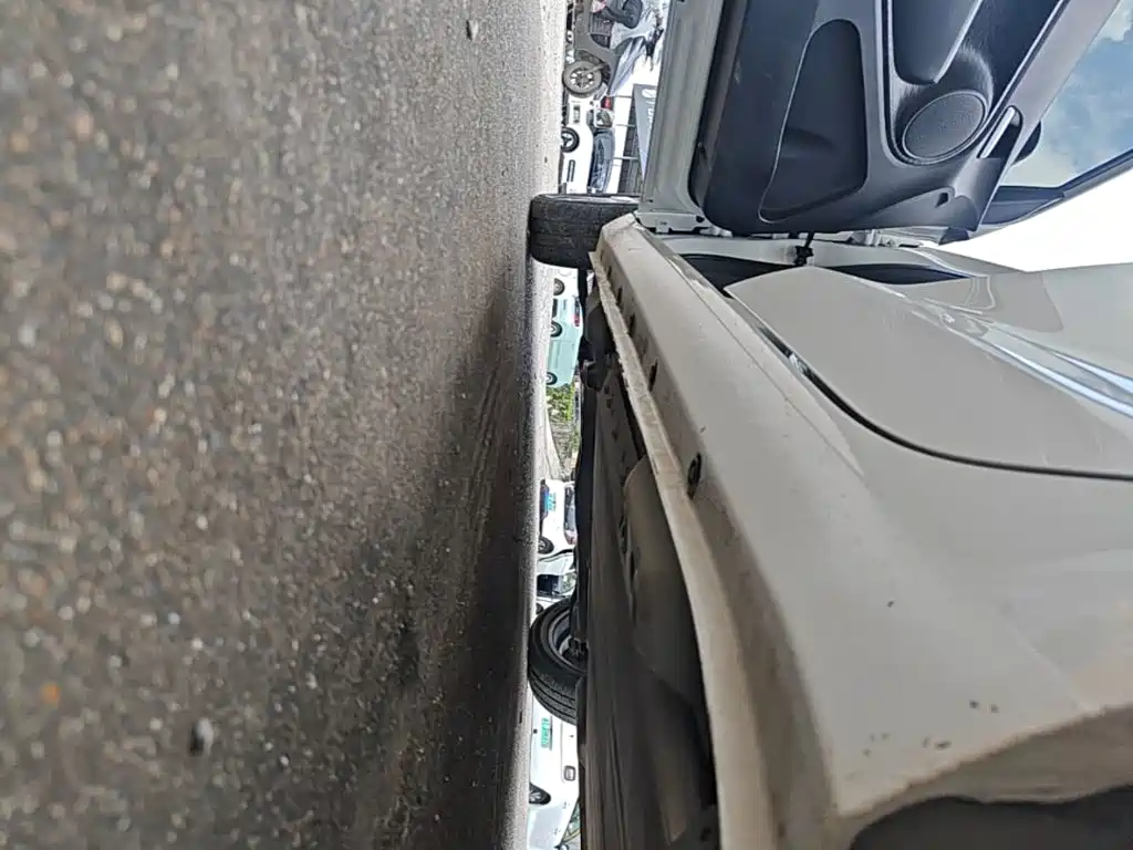 Euler Black Cat 2019 351km parent-child version купить на сайте DeffCars