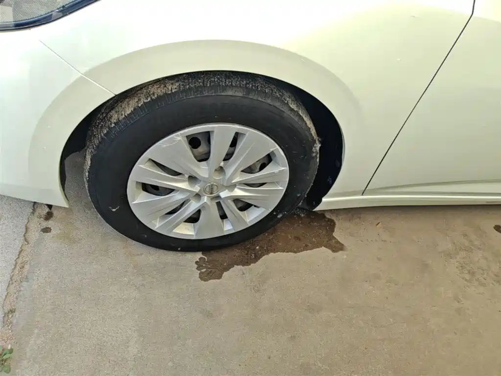 Sylphy 2020 1.6L XE CVT Comfort Edition купить на сайте DeffCars