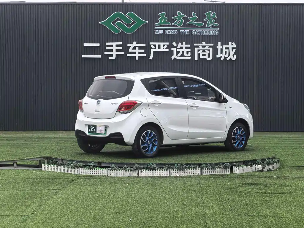 Benben EV 2019 EV360 Standard Model купить на сайте DeffCars