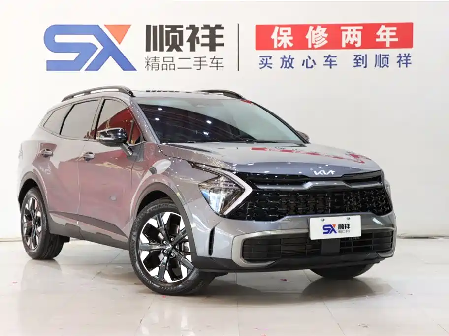 Lion Platinum Extension 2023 2.0T two-wheel drive premium version купить на сайте DeffCars