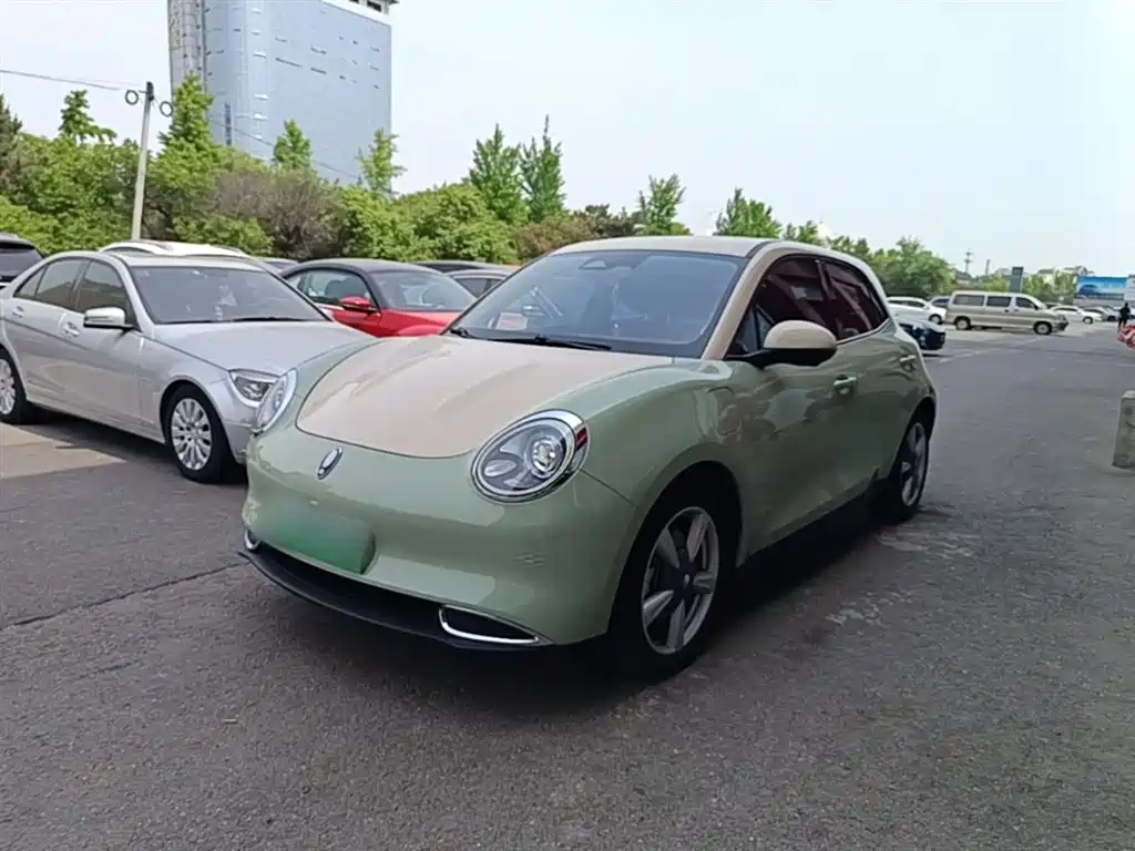 Euler Good Cat 2021 model 400km standard battery life Athena version ternary lithium купить на сайте DeffCars