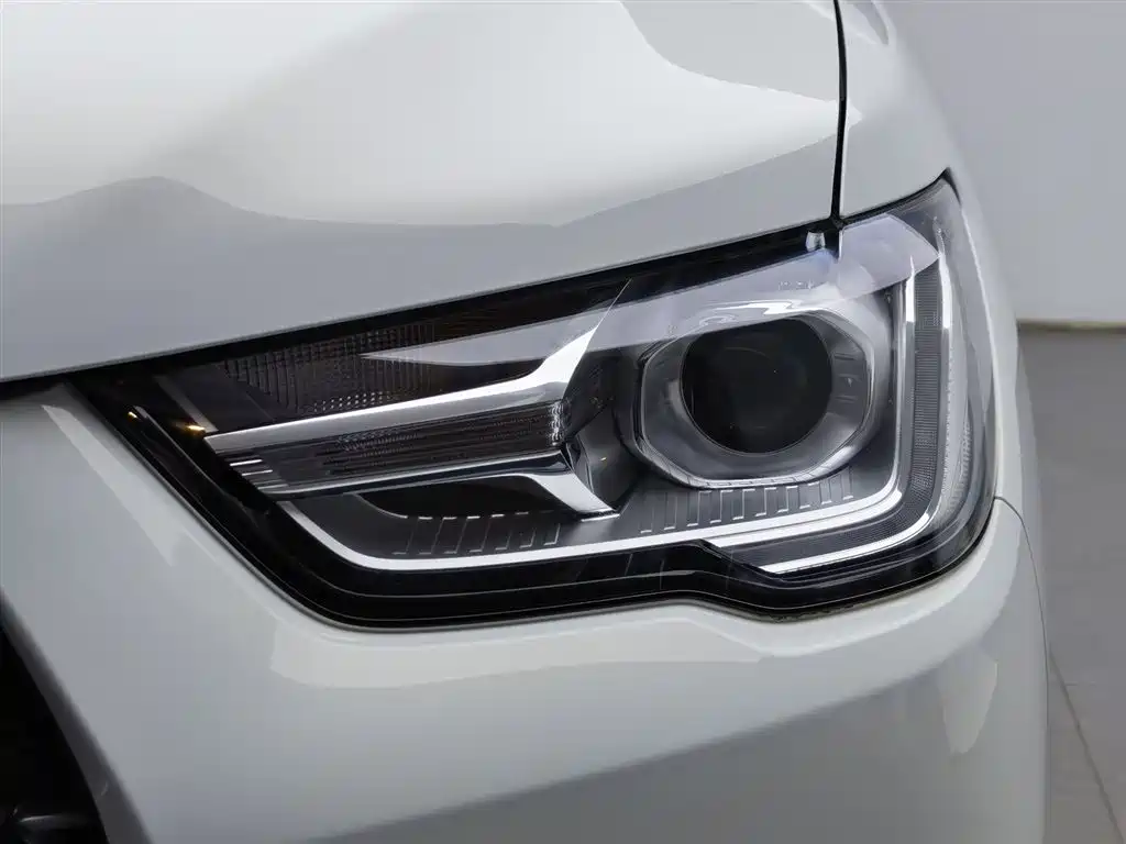 Cannon 2021 2.0T commercial version automatic diesel two-wheel drive elite long box GW4D20M купить на сайте DeffCars