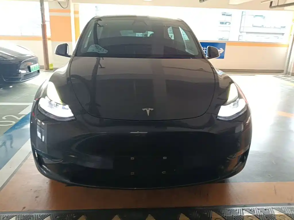 Model Y 2021 long-range all-wheel drive version купить на сайте DeffCars