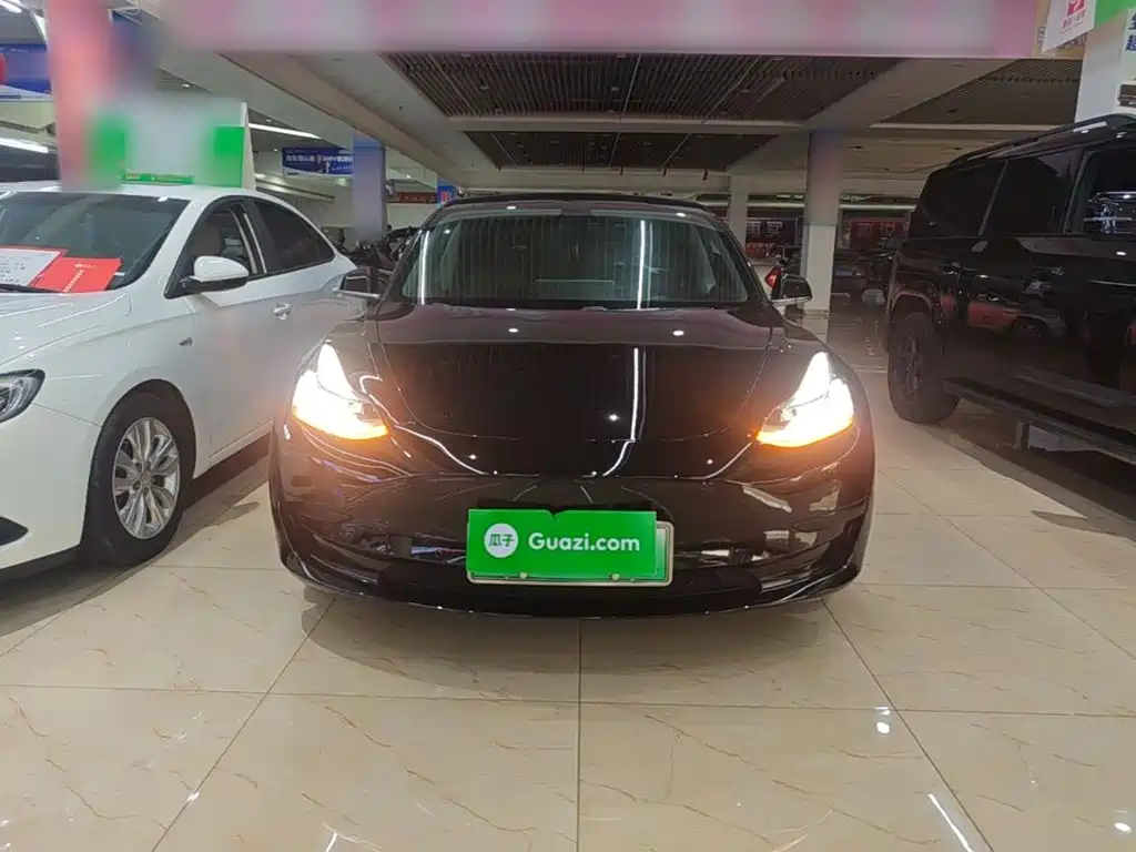 Model 3 2019 standard range rear drive upgraded version купить на сайте DeffCars