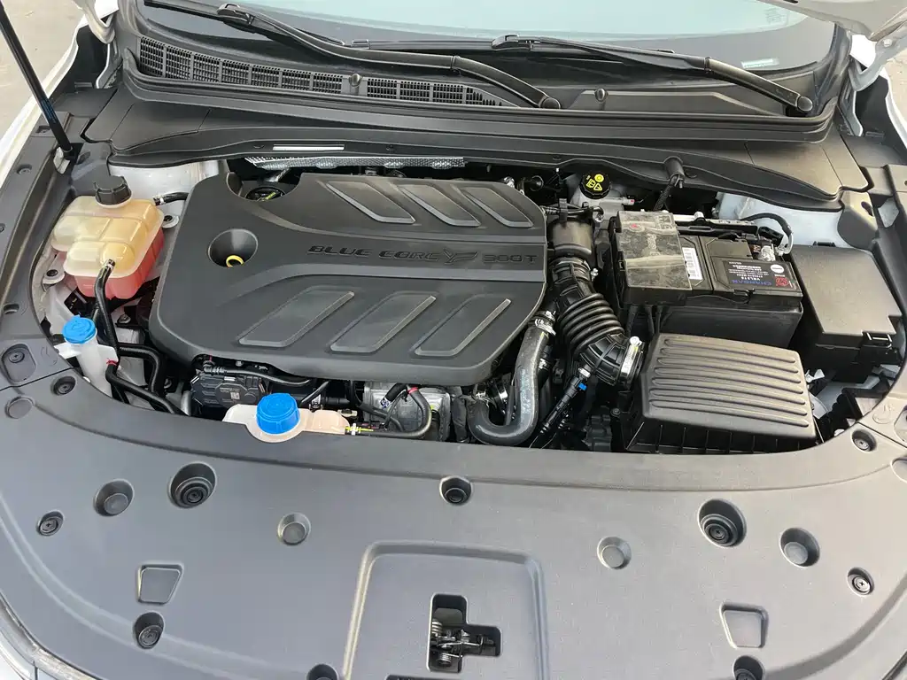Ruicheng PLUS 2023 1.5T DCT premium model купить на сайте DeffCars