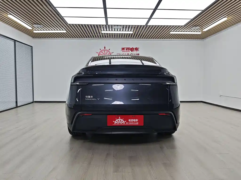 Model Y 2025 rear-wheel drive version купить на сайте DeffCars