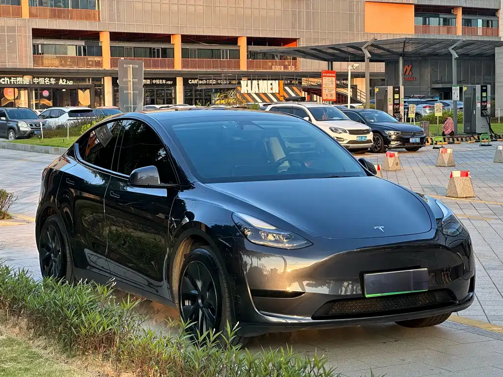 Model Y 2024 rear-wheel drive version купить на сайте DeffCars