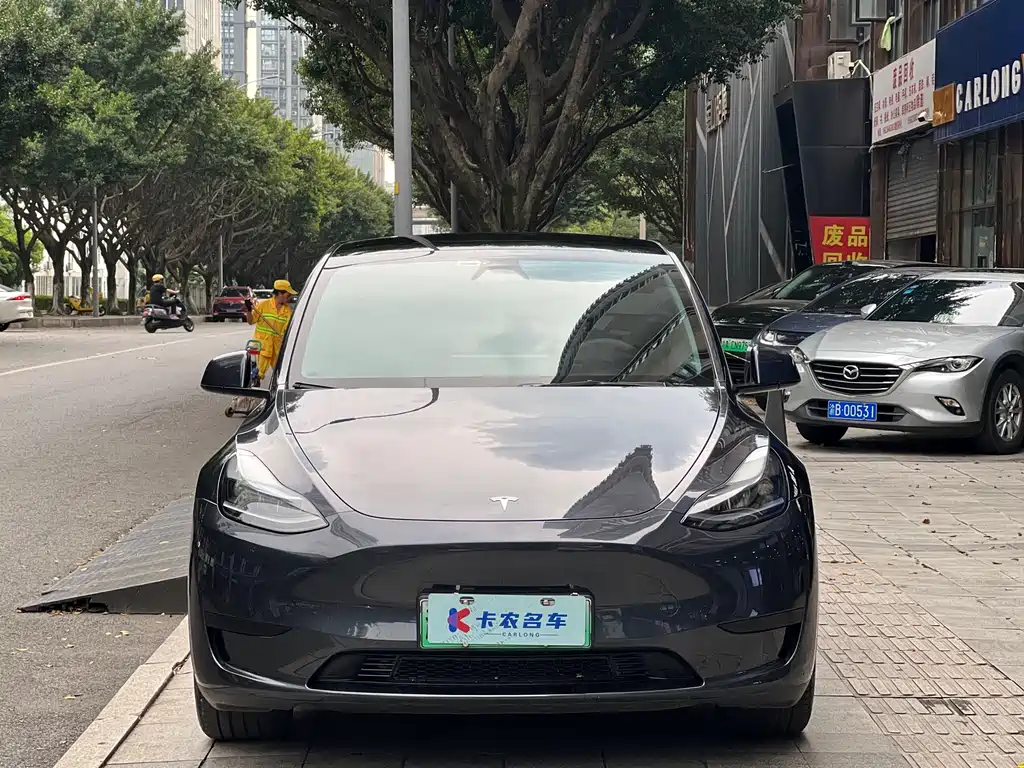 Model Y 2024 rear-wheel drive version купить на сайте DeffCars