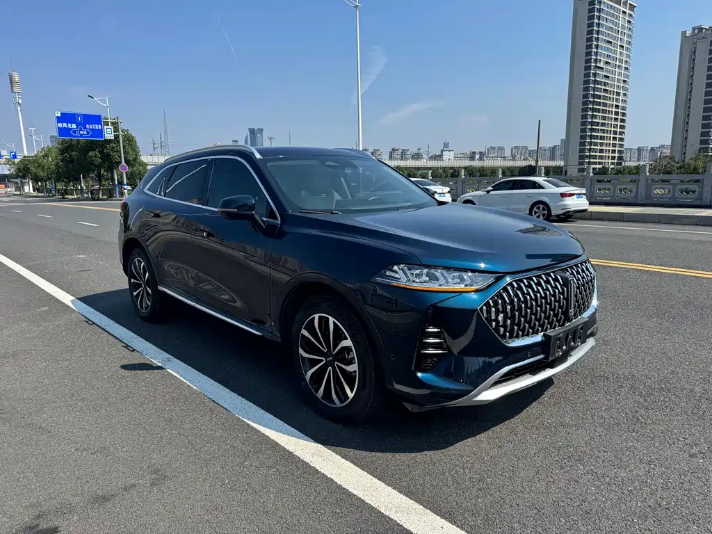 Wei brand Mocha 2021 2.0T two-wheel drive special version купить на сайте DeffCars