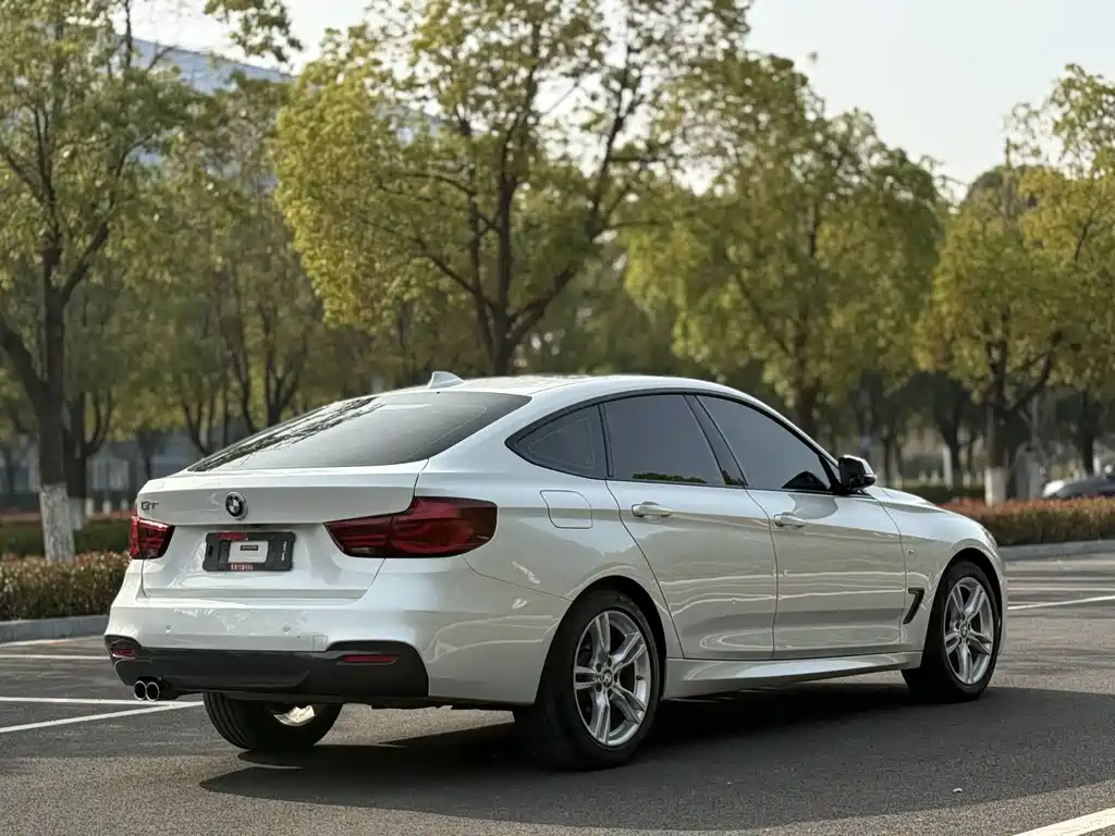 BMW 3 Series GT 2019 320i M Sports купить на сайте DeffCars